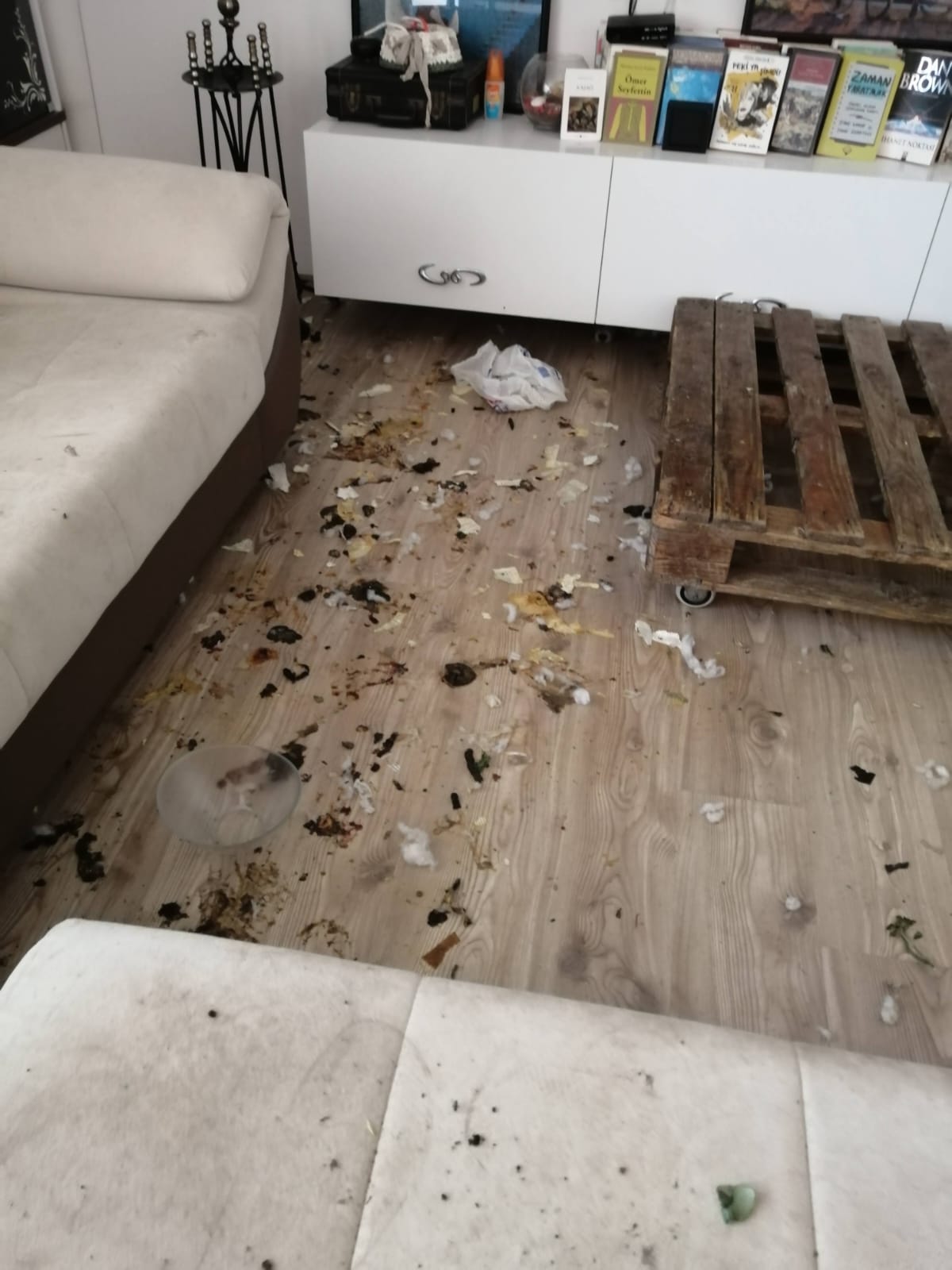 Before Cleaning