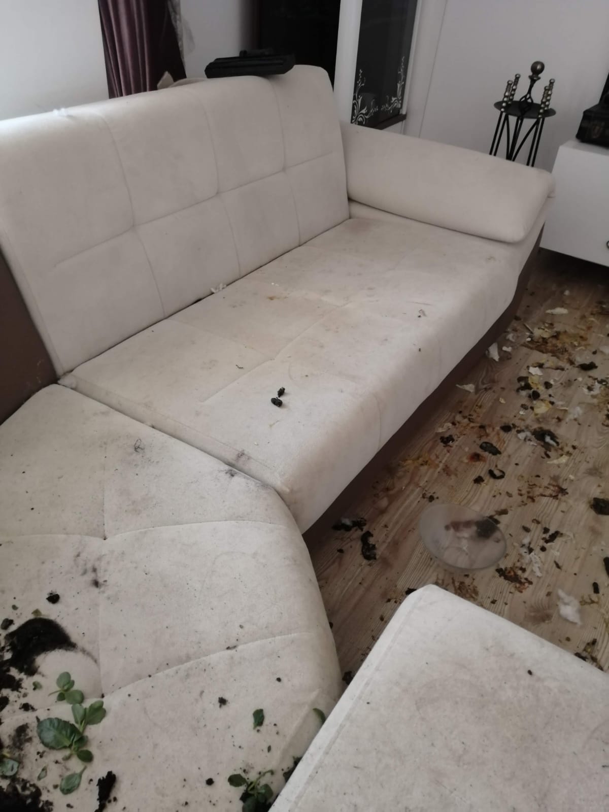 Before Cleaning